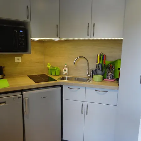 Studette Aux Deux Alpes, Pied Des Pistes - Fr-1-516-69 Les Deux Alpes