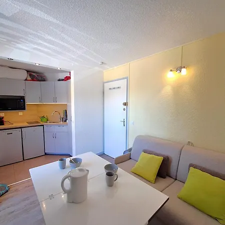 Appartement Studette Aux Deux Alpes, Pied Des Pistes - Fr-1-516-69 *