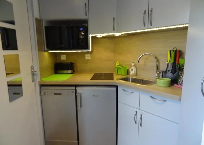 Studette Aux Deux Alpes, Pied Des Pistes - Fr-1-516-69 Ле дез Альп