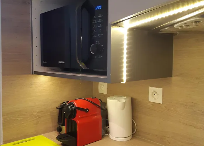 Studette Aux Deux Alpes, Pied Des Pistes - Fr-1-516-69