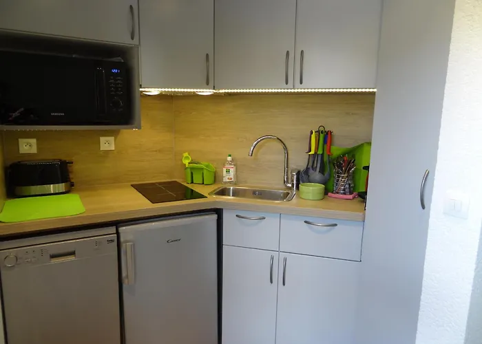 Studette Aux Deux Alpes, Pied Des Pistes - Fr-1-516-69 Ле дез Альп